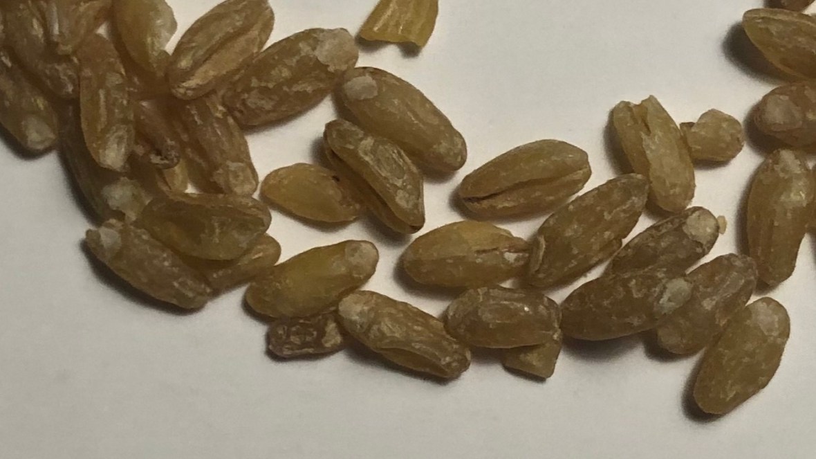 Screenshot 2020-05-01 at 21.45.32 copy